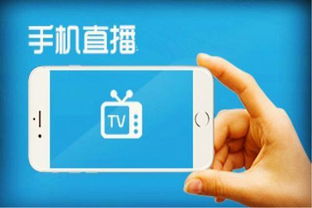 杭州直播系统开发公司 商城相亲旅游直播平台开发 任务短视频APP定制